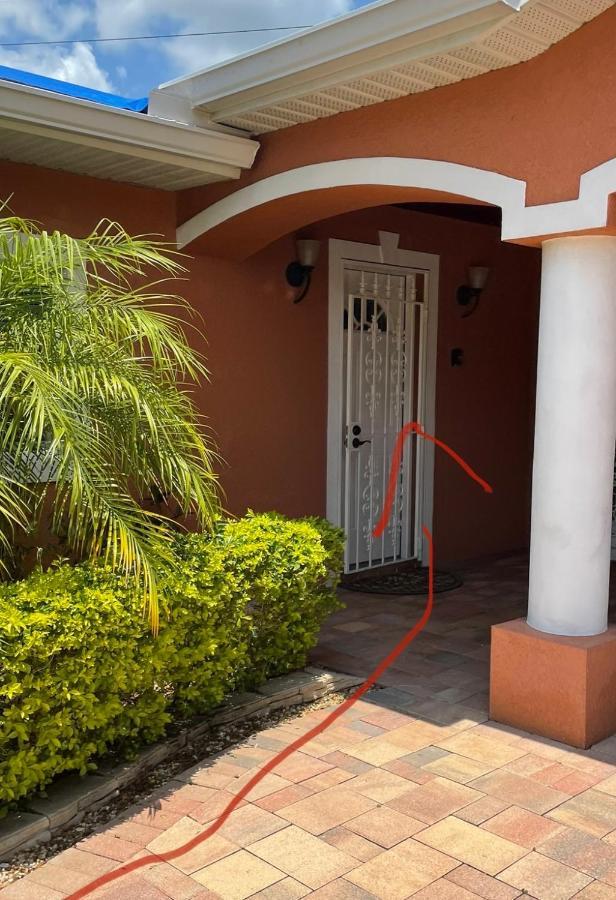 Twelve Oaks Modern Independent Apartment Tampa Exterior foto